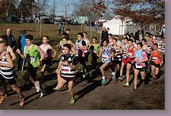 Begles 15.12.13 01 545 * 679 x 453 * (178KB)